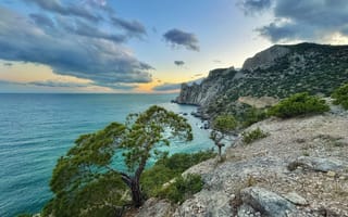 Картинка море, облака, горизонт, Вадим Качанов, дерево