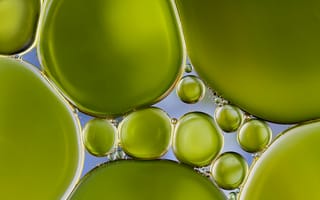 Картинка жемчужно-зеленые, пузырики, вода, пузыри