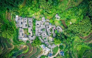 Картинка China, Весна, Songyang County, чайный сад, вид сверху, Spring Tea Garden, Китай, уезд Сонгьян