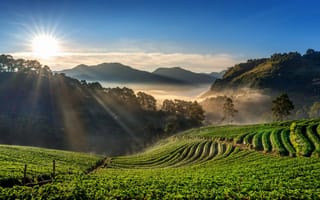 Картинка landscape, nature, mountains, fields