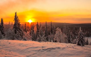 Картинка солнце, рассвет, снег, лес, зима, сопки