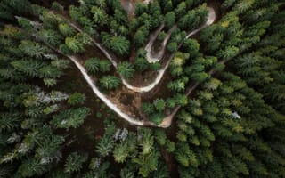 Картинка дорога, лес, с высоты птичьего полета, Шимаковский Юрий, вид сверху, серпантин, деревья