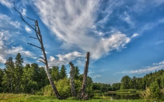 Картинка лето, зеленая трава, красота, Юдинских Марина, Из жизни деревьев, Облака