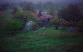 Картинка деревья, зеленая трава, черепичная крыша, утро, Николов Андриян, старый дом, дымка