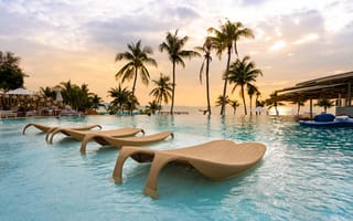 Картинка pool, nature, luxury, resort, lounge, outdoor, palm, paradise