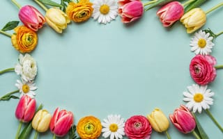 Картинка цветы, рамка, floral, flowers, frame, colorful, tulips, spring