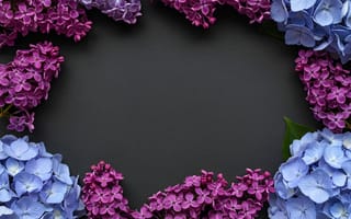 Картинка цветы, рамка, flowers, frame, colorful, floral, сирень