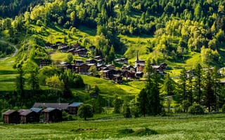 Картинка house, grass, landscape, forest, trees, road, nature, field