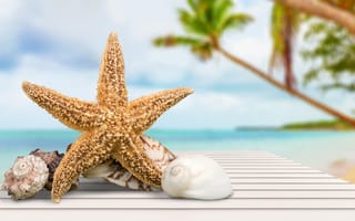 Картинка пляж, лето, beach, vacation, ракушки, звезды, stars, summer