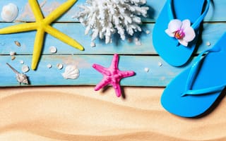 Картинка пляж, лето, ракушки, отдых, beach, звезды, summer, каникулы