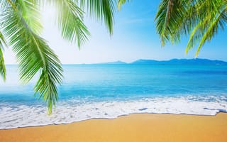 Картинка песок, море, пальмы, лето, небо, пляж, summer, берег