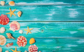 Картинка пляж, лето, beach, звезды, wood, summer, ракушки, stars