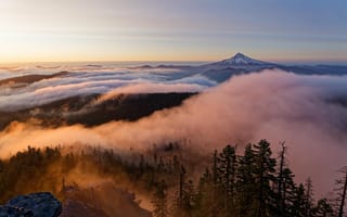 Картинка лес, деревья, туман, USA, скалы, рассвет, горы, Oregon
