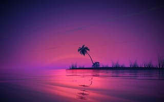 Картинка море, небо, горизонт, силуэт, пальмы, берег, закат, пейзаж