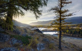 Картинка деревья, река, Алексей Кретов, Осенним утром, валуны, горизонт