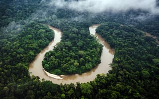 Картинка Река, Эквадор, Ecuador, Амазонка, River, Тропический лес, Rainforest, Amazon
