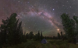 Картинка деревья, поляна, Приятных снов путник, звездное небо, Кудашкина Ксения, галактика, палатки