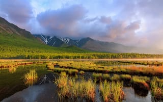 Картинка облака, растительность, горизонт, Северный Байкал, Добролюбова Тамара, рассвет на мысе Кедровом