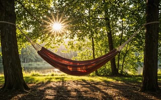 Картинка лес, лето, summer, sunshine, гамак, озеро, отдых, солнце