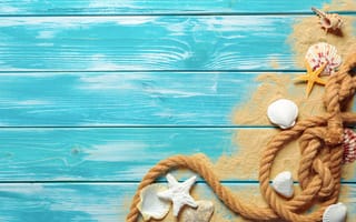 Картинка песок, wood, beach, seashells, ракушки, sand