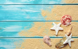 Картинка песок, sand, wood, seashells, ракушки, beach