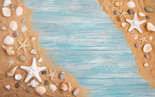 Картинка песок, beach, seashells, ракушки, wood, sand