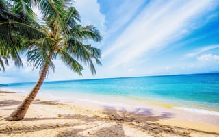 Картинка песок, море, пляж, пальмы, небо, берег, волны, лето