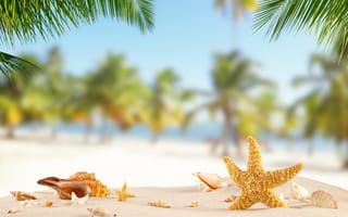Картинка песок, море, пляж, берег, небо, лето, пальмы, волны