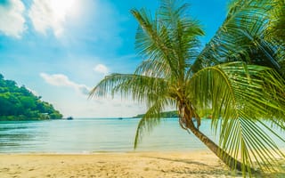 Картинка песок, море, волны, берег, пальмы, лето, небо, пляж