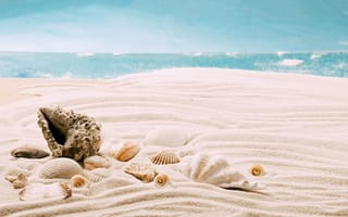 Картинка песок, море, небо, summer, пляж, ракушки, лето, берег