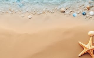 Картинка песок, море, берег, лето, пляж, небо, ракушки, summer