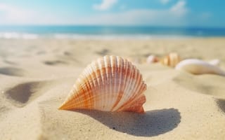 Картинка песок, море, ракушка, пляж, раковина, волны, берег, лето