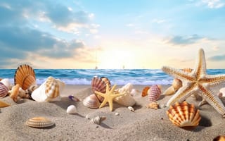 Картинка песок, море, summer, ракушки, небо, пляж, лето, берег