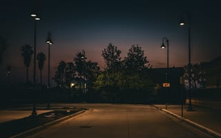 Картинка дорога, небо, ночь, вечер, деревья, дом, асфальт, парк