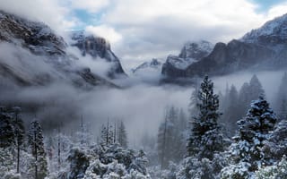Картинка снег, зима, Yosemite National Park, Калифорния, природа, USA, облака, туман, горы, деревья, лес, Йосемити, США