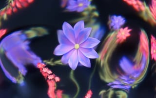 Картинка Flowers, Bokeh, Floral, Ethereal, Luminous, Purple aesthetic