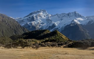 Картинка forest, sky, New Zealand, landscape, trees, field, mountains, nature