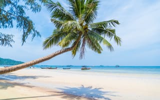 Картинка песок, море, небо, beach, пляж, пальмы, лето, summer