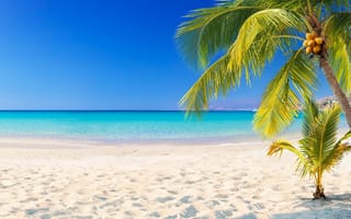 Картинка песок, море, лето, пальмы, пляж, небо, beach, summer