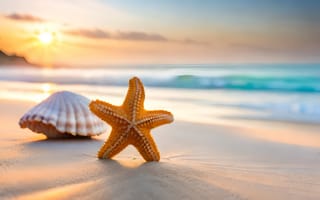 Картинка песок, море, лето, пляж, ракушка, summer, закат, beach