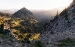 Картинка forest, mountains, national park, mountain view, mist, Mount Rainier, North America