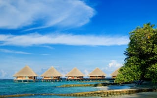 Картинка море, пляж, summer, пальмы, лето, отпуск, небо, хижины
