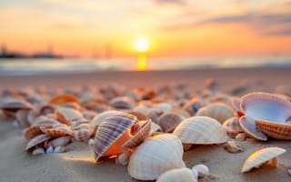 Картинка песок, море, sea, ракушки, звезда, пляж, sand, beach