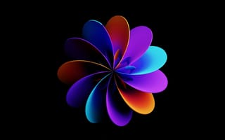 Картинка Черный, Лепестки, Flower Of Light, Abstract, Цветок Света, Абстракция