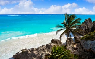 Картинка песок, море, лето, beach, summer, пляж, небо, пальмы