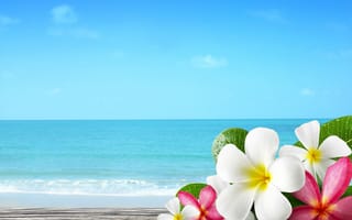Картинка песок, море, summer, sea, лето, цветы, beach, пляж