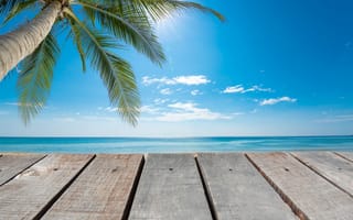 Картинка море, пляж, sea, beach, пальмы, summer, лето, небо