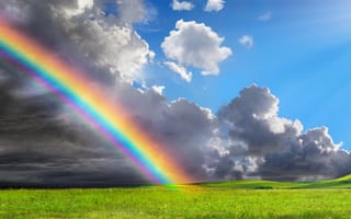 Картинка поле, лето, солнце, rainbow, summer, небо, радуга, трава