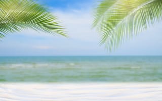 Картинка песок, море, пляж, пальмы, beach, summer, лето, небо