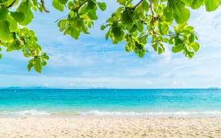 Картинка песок, море, пальмы, лето, beach, небо, summer, пляж